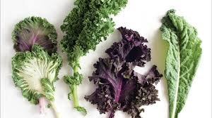 Eat Kale During Dhat Syndrome 1