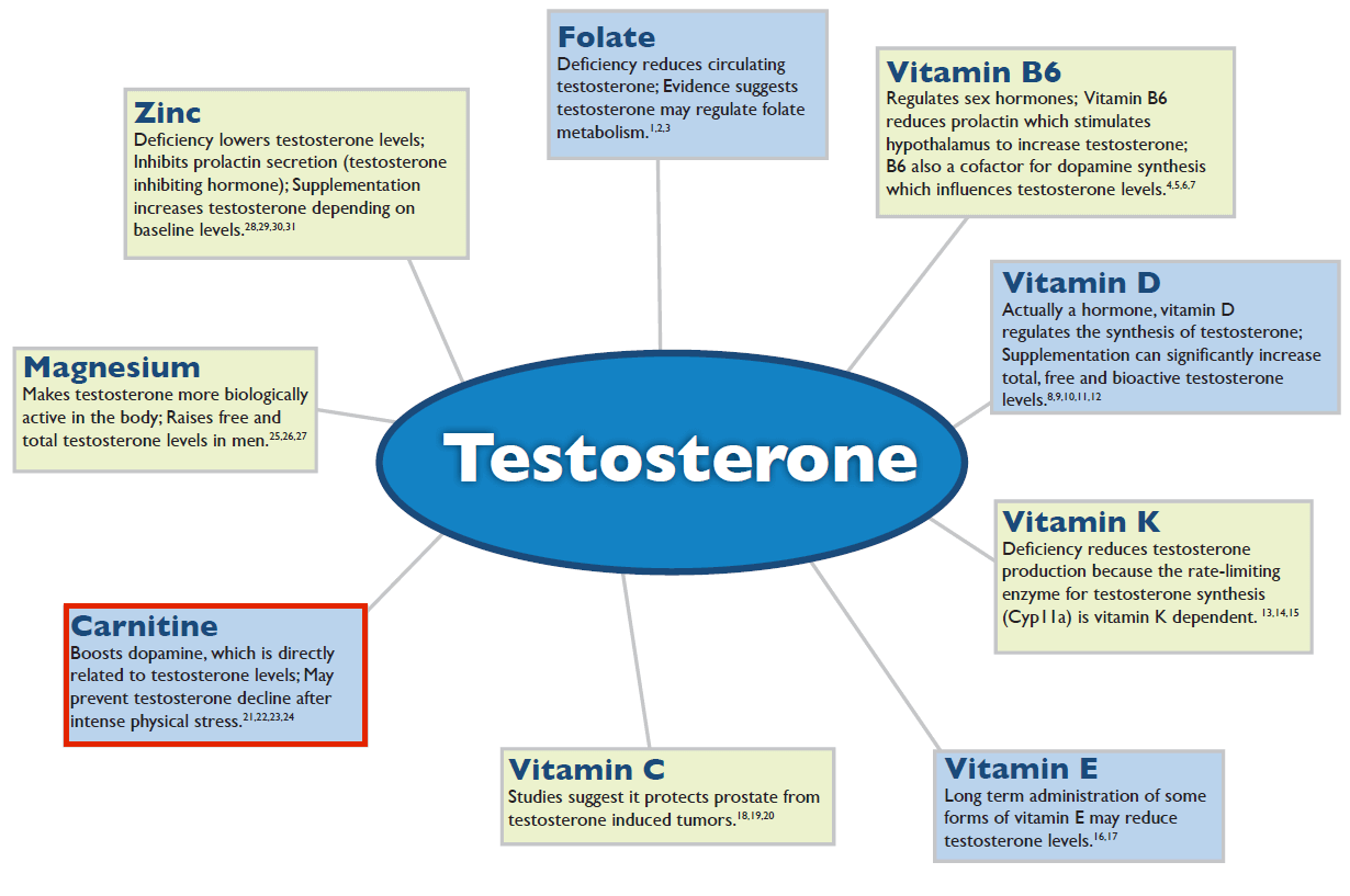 How To Maintain Optimal Testosterone Level In The Body?
