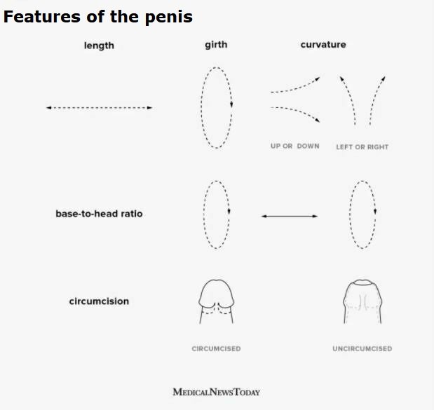 Exercises To Increase Penis Size